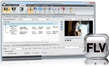 Axara FLV Video Converter